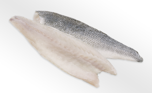 zwei rohe Wolfsbarschfilets, eines mit Haut, eines ohne Haut
