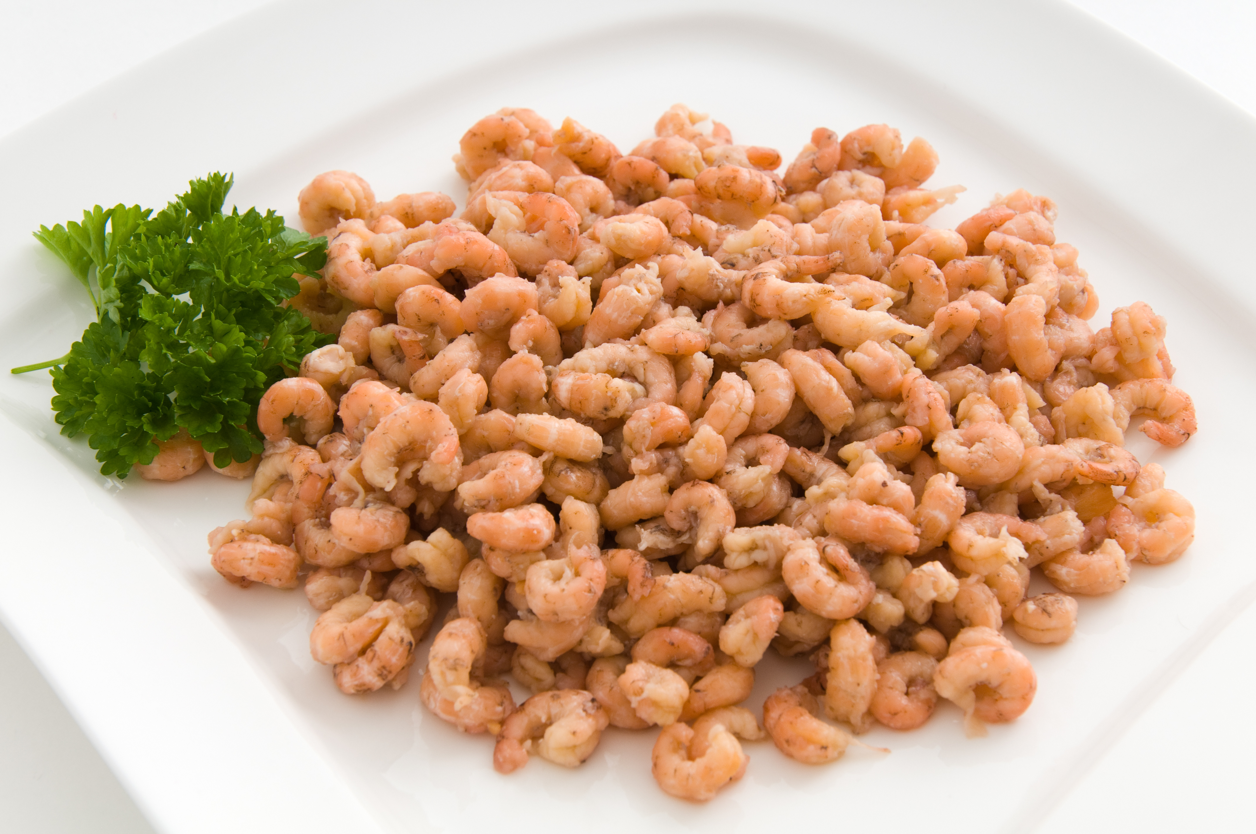 Nordseekrabbenfleisch Premium, gepulte Nordseekrabben, frisch, 1.000g pro Schale