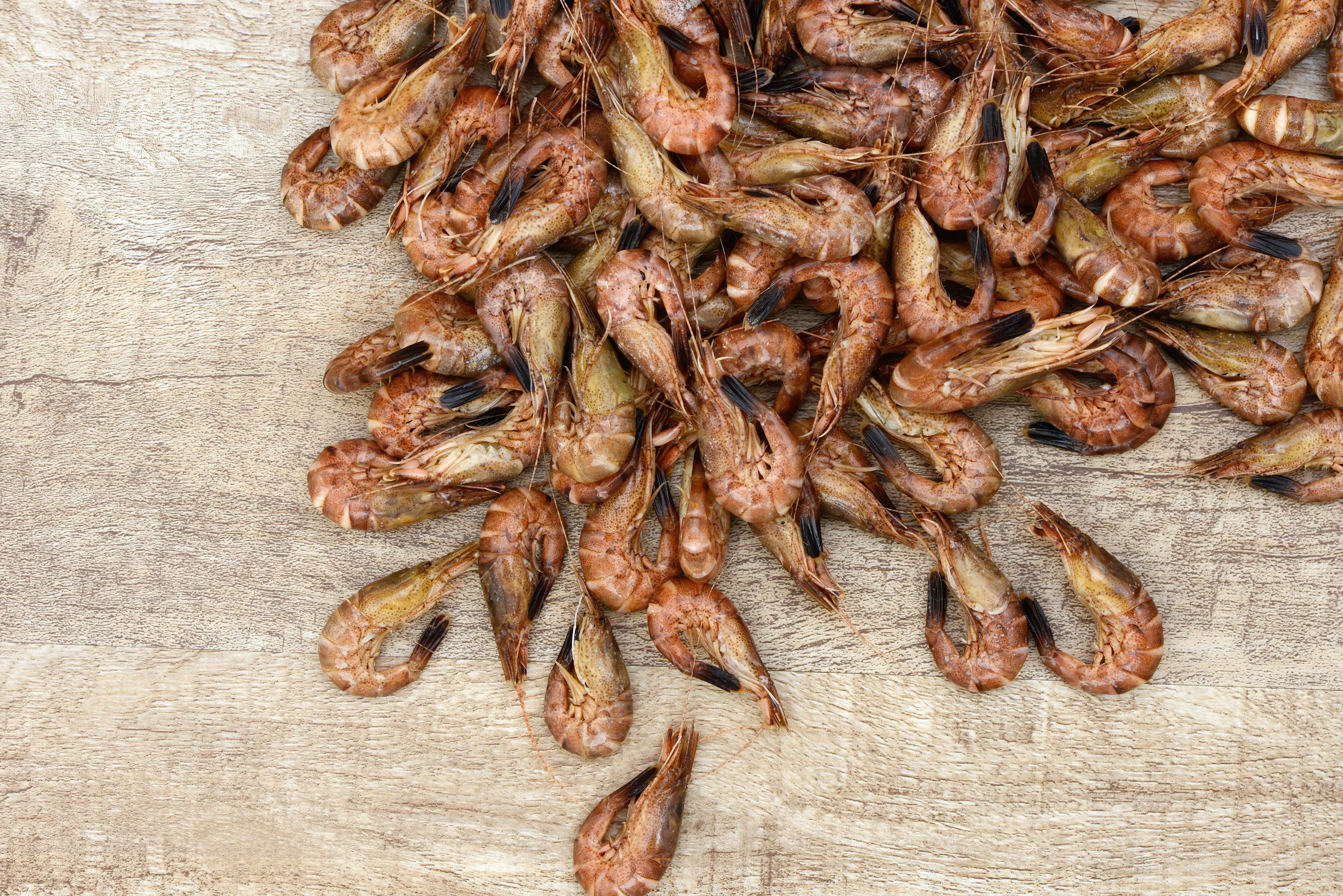 frische Nordseekrabben mit Schale auf Holzuntergrund