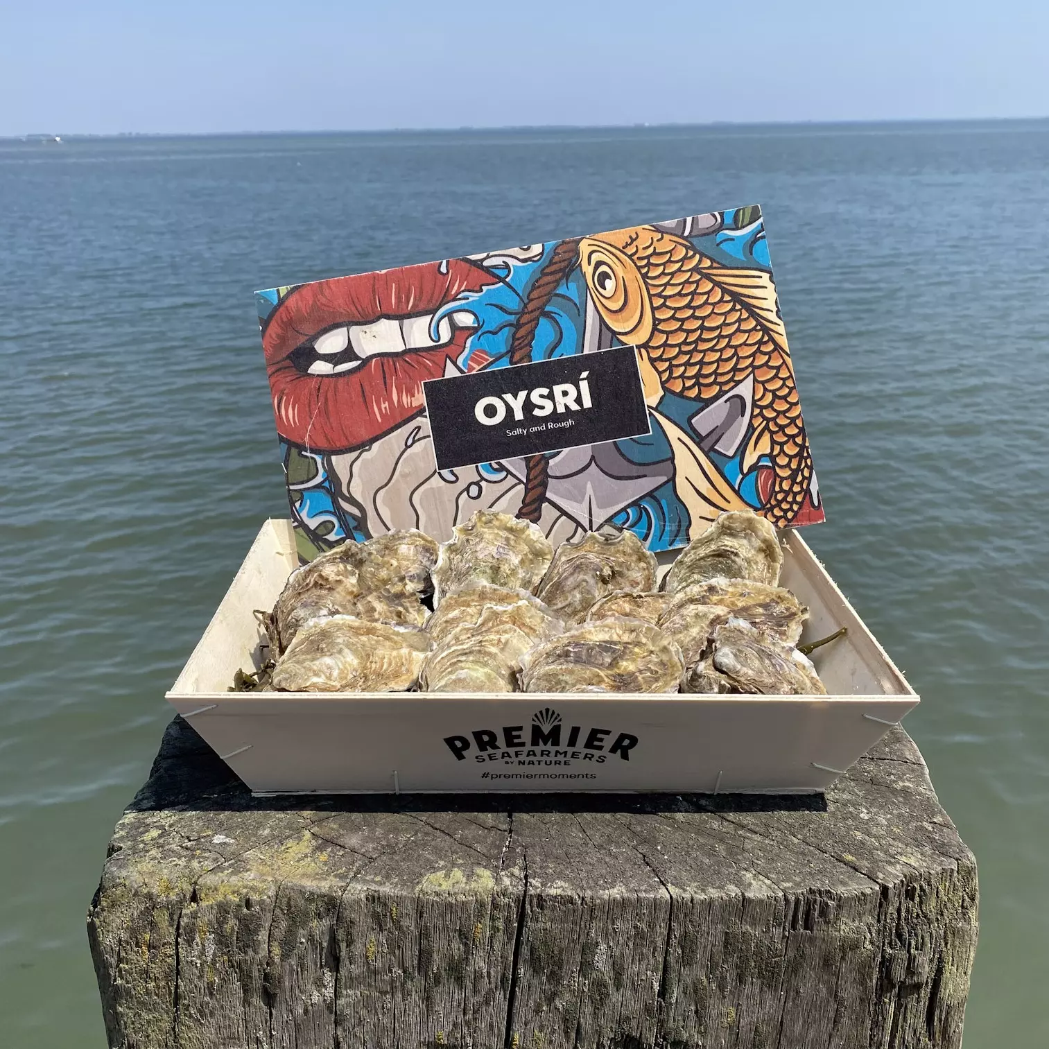 geschlossene frische Austern in Holzkiste vor Meer