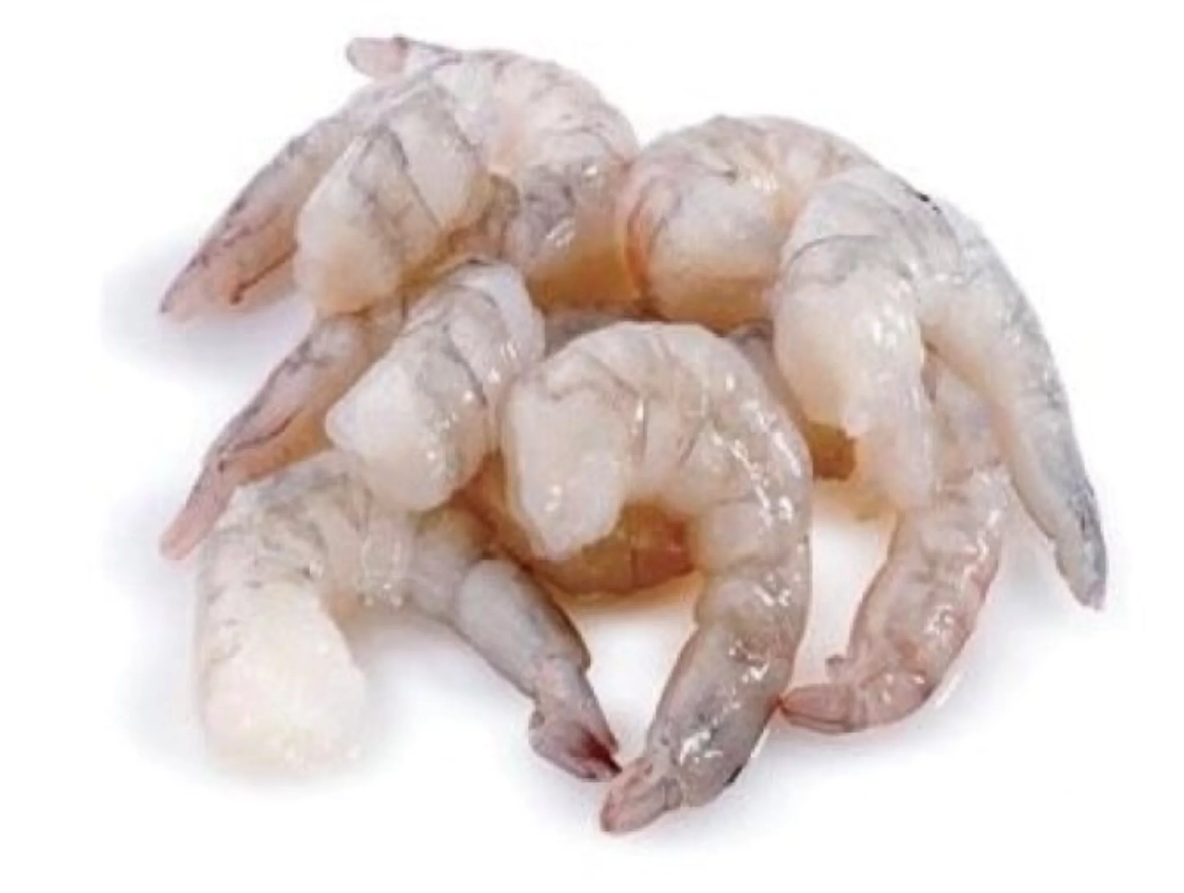 rohe, geschälte Garnelen auf weißem Hintergrund