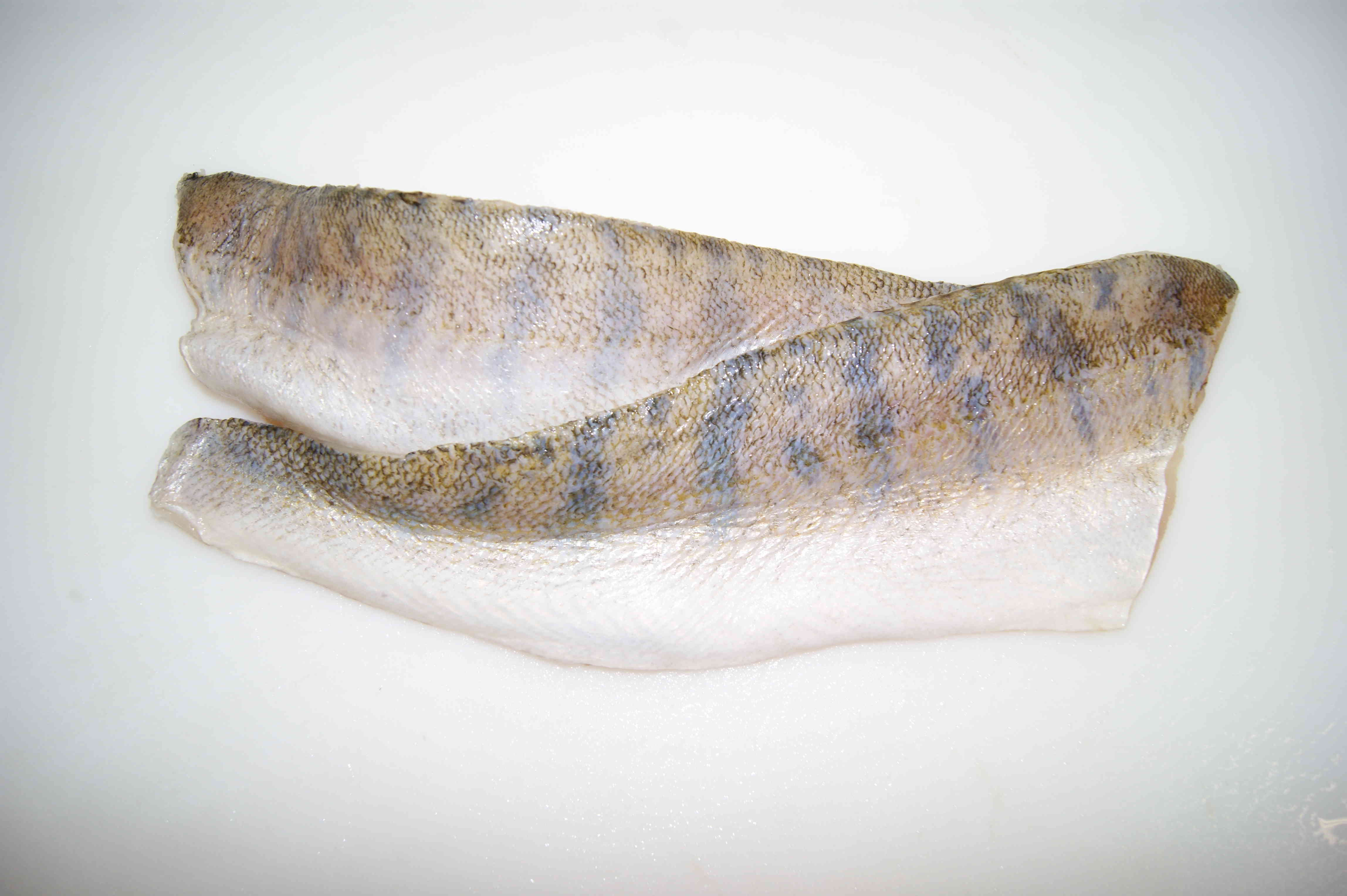 zwei rohe Seelachsfilets mit Haut auf weißem Untergrund