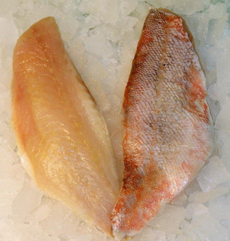 Frische Fischfilets auf Eis Zwei frische Fischfilets, eines mit Haut und eines ohne, liegen auf Eis zur Kühlung bereit.