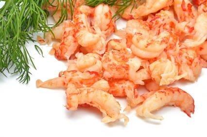 Frische Flusskrebsschwänze mit Dill auf weißem Hintergrund Eine Portion frischer, roher Flusskrebsschwänze garniert mit Dill auf einem weißen Untergrund