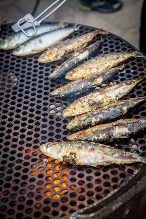 Frisch gegrillte Sardinen auf einem metallischen Grillrost Gegrillte Sardinen auf einem runden, schwarzen Grillrost über offenem Feuer