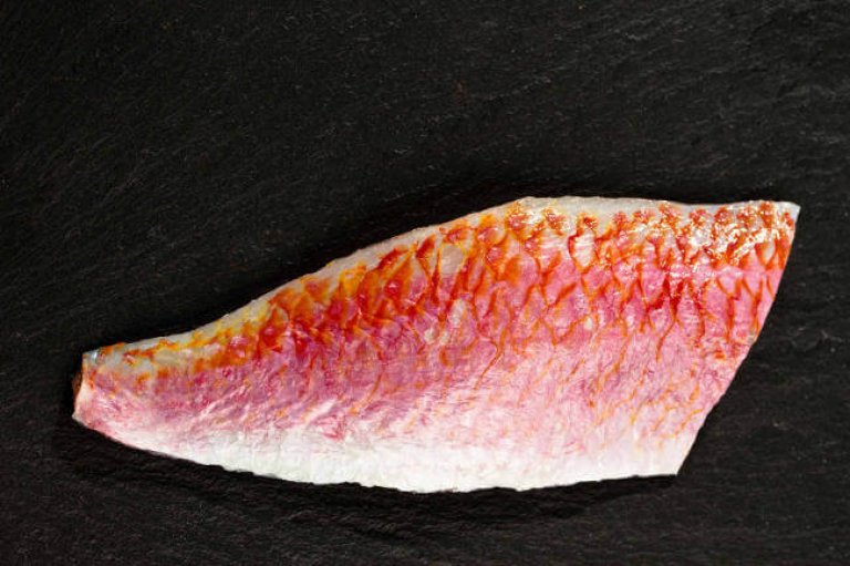Frisches Rotbarbenfilet auf schwarzem Hintergrund Ein einzelnes Rotbarbenfilet mit leuchtend roter Haut auf einer schwarzen Schieferplatte präsentiert.