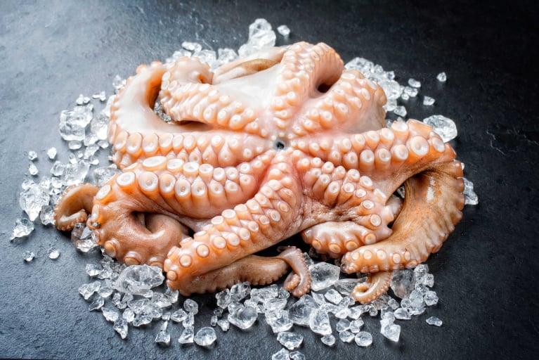 Frischer Oktopus auf Eis präsentiert Ein roher Oktopus liegt auf einer Schicht Eis auf einer dunklen Oberfläche. Die Tentakel des Oktopus sind deutlich sichtbar und die Textur ist gut erkennbar.