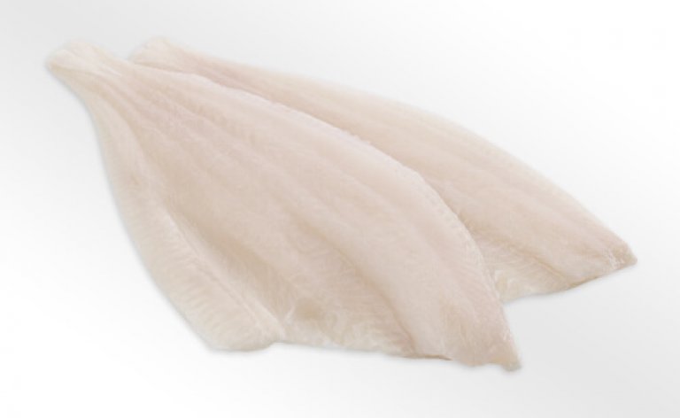 Premium Fischfilet - Frisch und Zart Zwei frische Fischfilets auf weißem Hintergrund