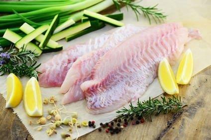 Frische Fischfilets mit Zitronenscheiben und Gemüsebeilage Rohe Fischfilets auf Pergamentpapier mit Zitronenscheiben, grünen Kräutern und Zucchinistreifen arrangiert