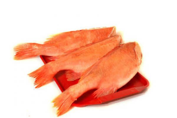 Frische rote Fische auf rotem Tablett Drei frische rote Fische liegen auf einem roten Tablett, bereit zur Zubereitung.