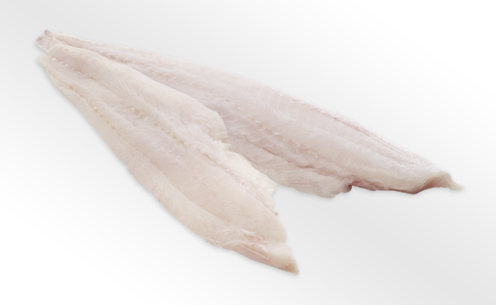 Frische Fischfilets - Perfekt für gesunde Gerichte Zwei rohe, frische Fischfilets auf einem hellen Hintergrund