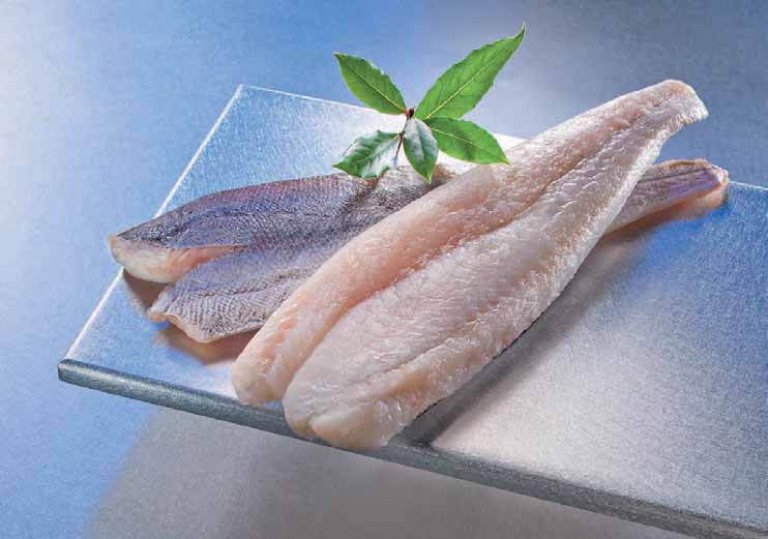 Frische Fischfilets auf Metallplatte mit Kräutergarnitur Nahaufnahme von frischen Fischfilets auf einer silbernen Metallplatte, dekoriert mit einem grünen Blatt